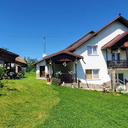 Гостьовий будинок Casa Elena Бран Екстер'єр фото