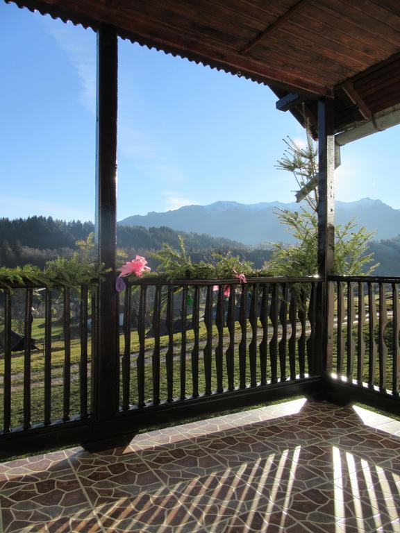 Гостьовий будинок Casa Elena Бран Екстер'єр фото